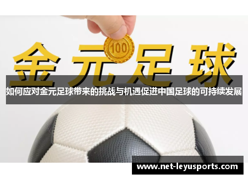 如何应对金元足球带来的挑战与机遇促进中国足球的可持续发展