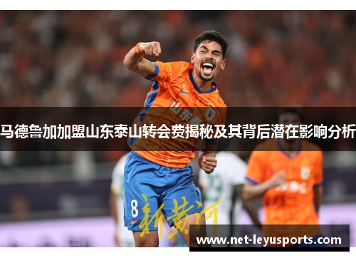 马德鲁加加盟山东泰山转会费揭秘及其背后潜在影响分析
